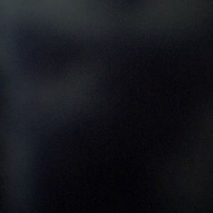 Meet your Posher, Reese